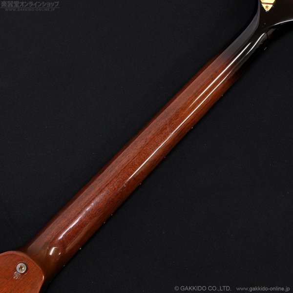 画像13: Gibson　1977 Firebird Bicentennial Edition 1976 [ヴィンテージ品] (13)