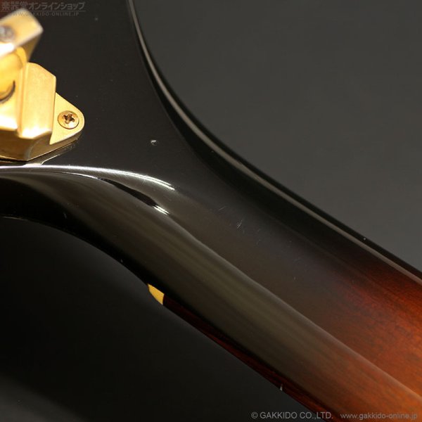 画像16: Gibson　1977 Firebird Bicentennial Edition 1976 [ヴィンテージ品] (16)