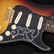 画像7: Fender Custom Shop　Stevie Ray Vaughan Signature Stratocaster NOS (7)