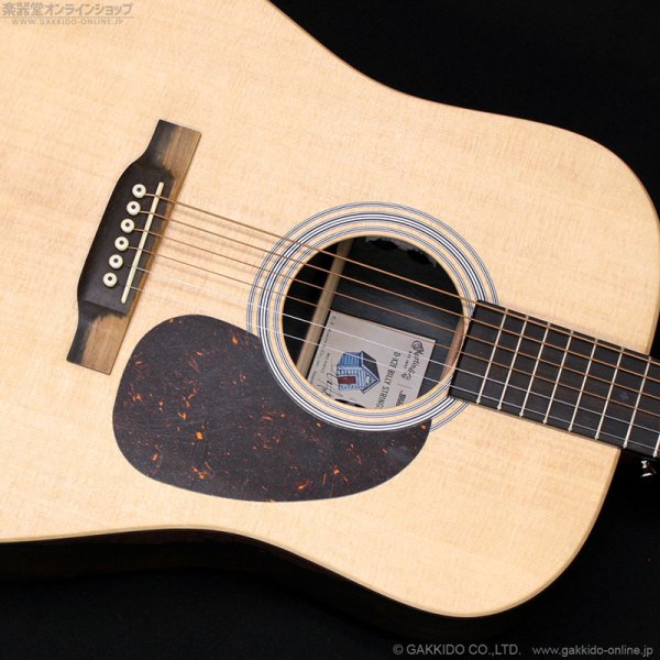 画像8: Martin　D-X2E Billy Strings (8)