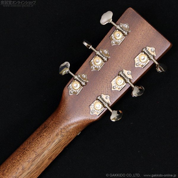 画像10: Martin　D-X2E Billy Strings (10)