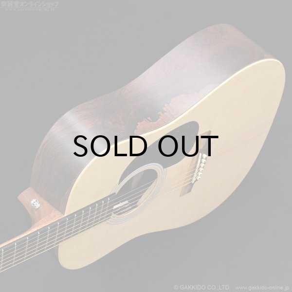 画像5: Martin　D-X2E Billy Strings (5)