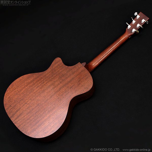 画像20: Martin　2018 GPCPA4 [中古品] (20)