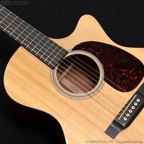 画像8: Martin　2018 GPCPA4 [中古品] (8)
