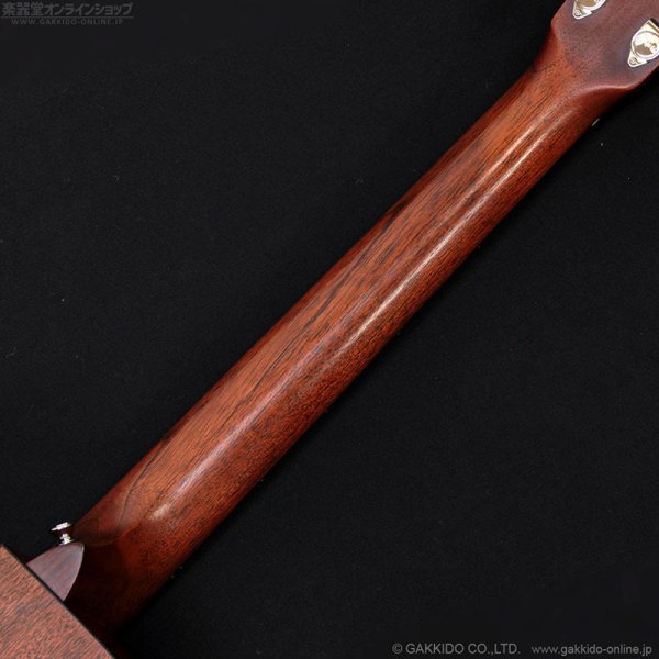 画像13: Martin　2018 GPCPA4 [中古品] (13)