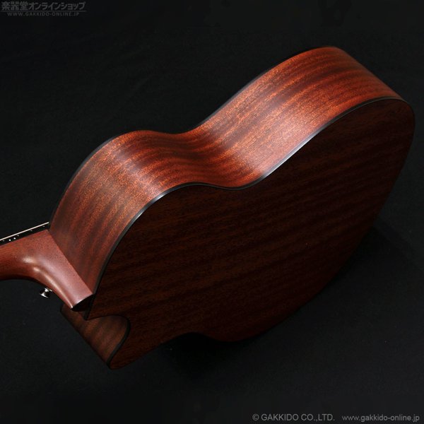 画像5: Martin　2018 GPCPA4 [中古品] (5)