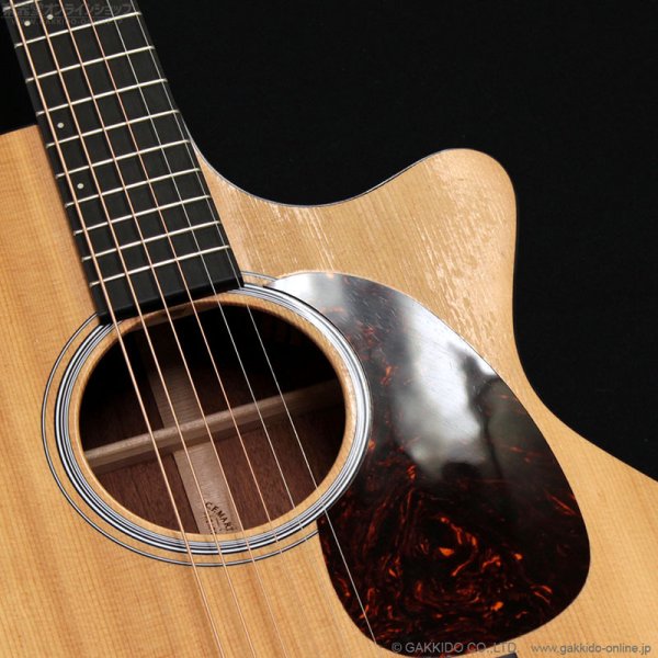 画像11: Martin　2018 GPCPA4 [中古品] (11)