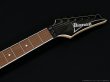 画像5: Ibanez　RG450QMB [Transparent Gray Burst] (5)