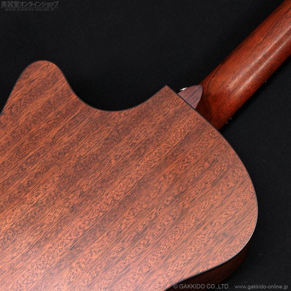 画像16: Martin　2018 GPCPA4 [中古品] (16)