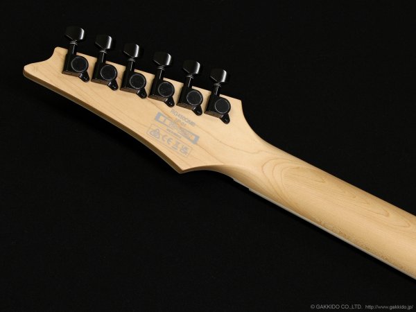 画像6: Ibanez　RG450QMB [Transparent Gray Burst] (6)