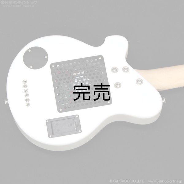 画像9: Pignose　PGG-JAIL RS (9)