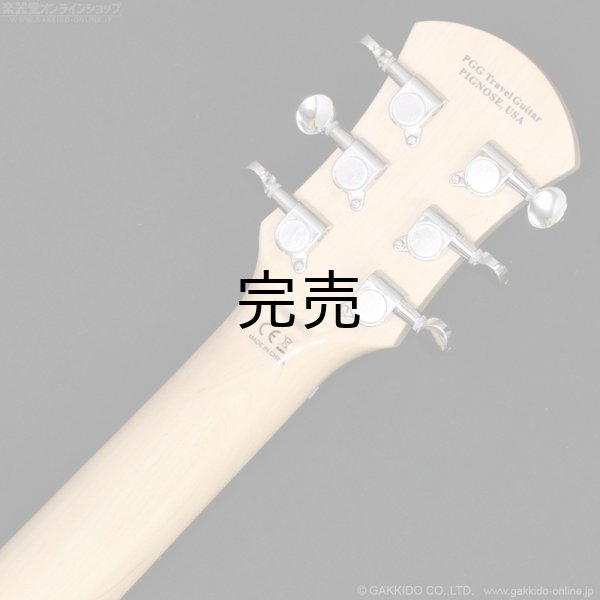 画像7: Pignose　PGG-JAIL RS (7)