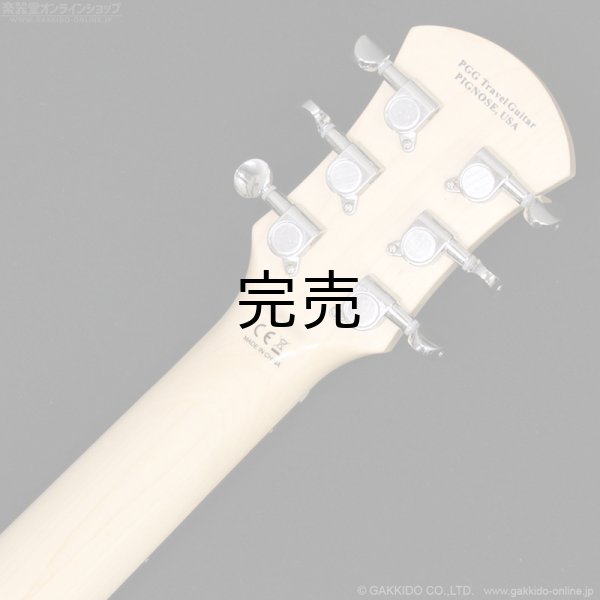 画像7: Pignose　PGG-JAIL GLITTER (7)