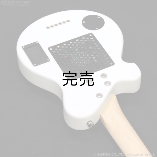 画像10: Pignose　PGG-JAIL RS (10)