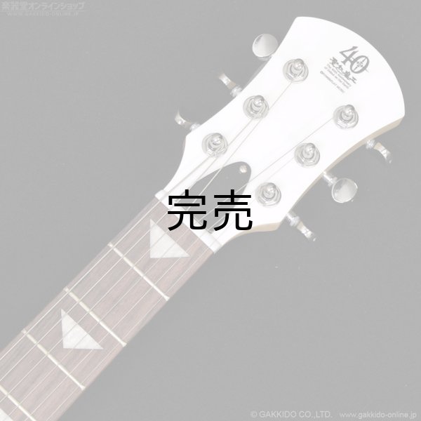 画像6: Pignose　PGG-JAIL RS (6)