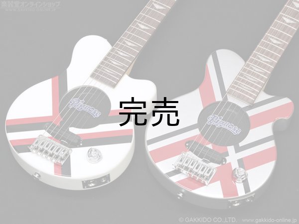 画像13: Pignose　PGG-JAIL RS (13)