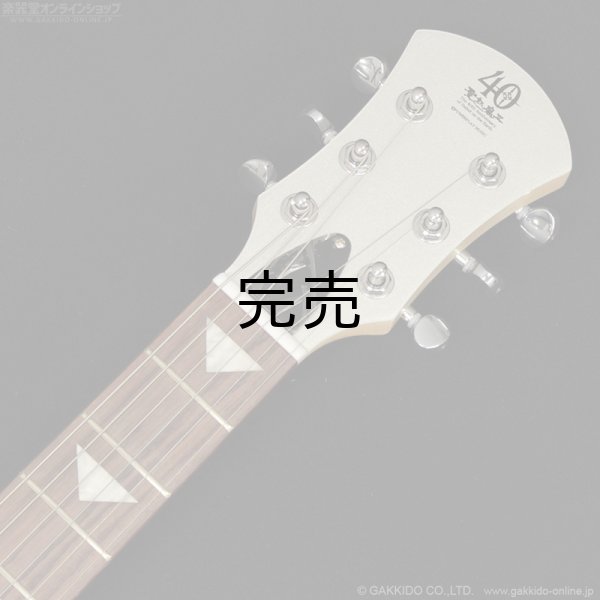 画像6: Pignose　PGG-JAIL GLITTER (6)