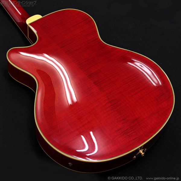 画像13: Epiphone　2019 Joe Pass Emperor II Pro WR [Wine Red] [中古品] (13)