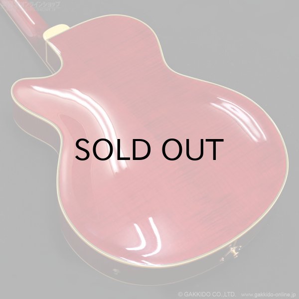 画像13: Epiphone　2019 Joe Pass Emperor II Pro WR [Wine Red] [中古品] (13)