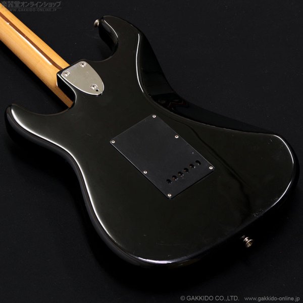 画像14: Tokai　1981 SS-36 BB [中古品] (14)