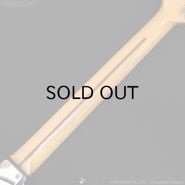 画像10: Tokai　1981 SS-36 BB [中古品] (10)