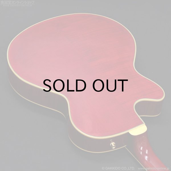 画像15: Epiphone　2019 Joe Pass Emperor II Pro WR [Wine Red] [中古品] (15)