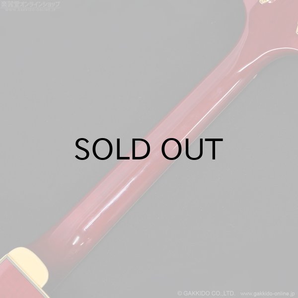 画像9: Epiphone　2019 Joe Pass Emperor II Pro WR [Wine Red] [中古品] (9)