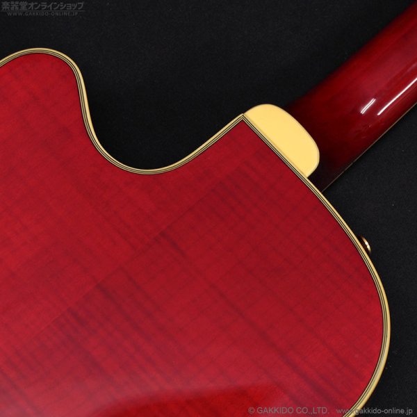画像12: Epiphone　2019 Joe Pass Emperor II Pro WR [Wine Red] [中古品] (12)