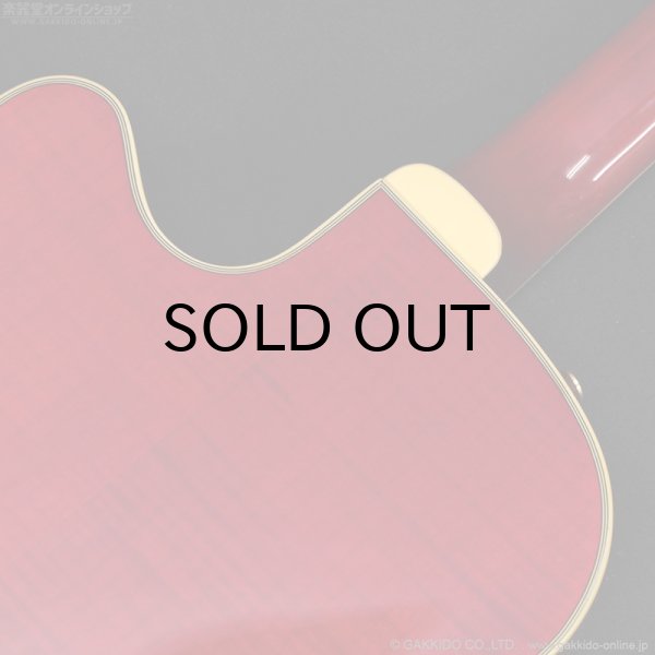 画像12: Epiphone　2019 Joe Pass Emperor II Pro WR [Wine Red] [中古品] (12)