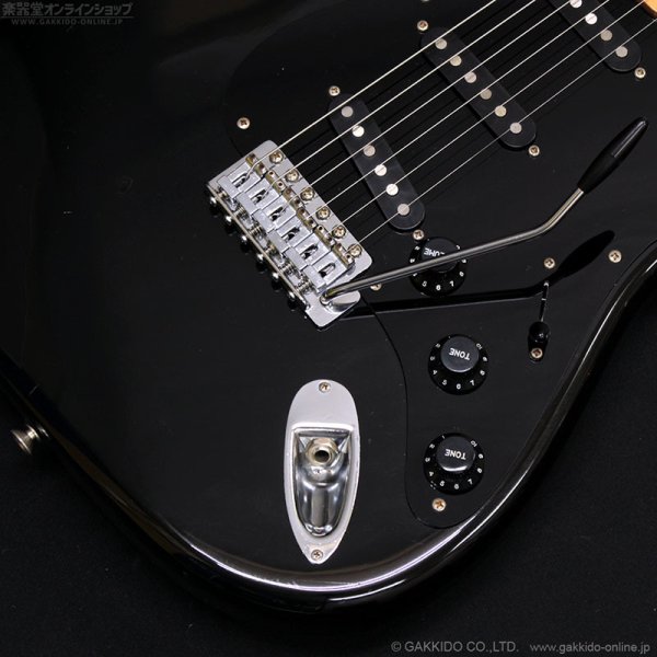 画像5: Tokai　1981 SS-36 BB [中古品] (5)