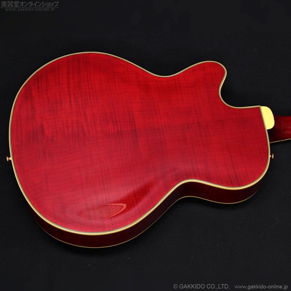 画像14: Epiphone　2019 Joe Pass Emperor II Pro WR [Wine Red] [中古品] (14)
