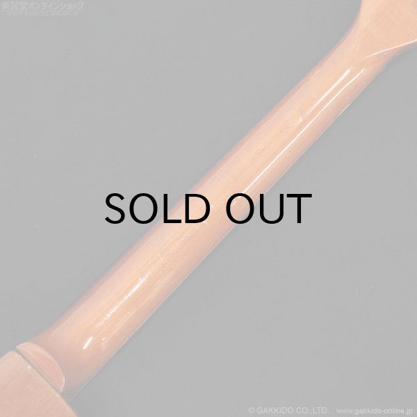 画像11: Greco　1978 EG800GS [ヴィンテージ品] (11)