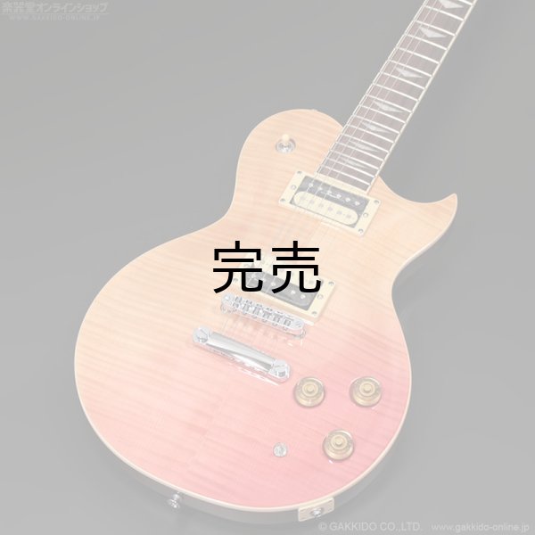 画像1: Aria Pro II　PE-JAIL 2025 ジェイル大橋 シグネチャーモデル (1)