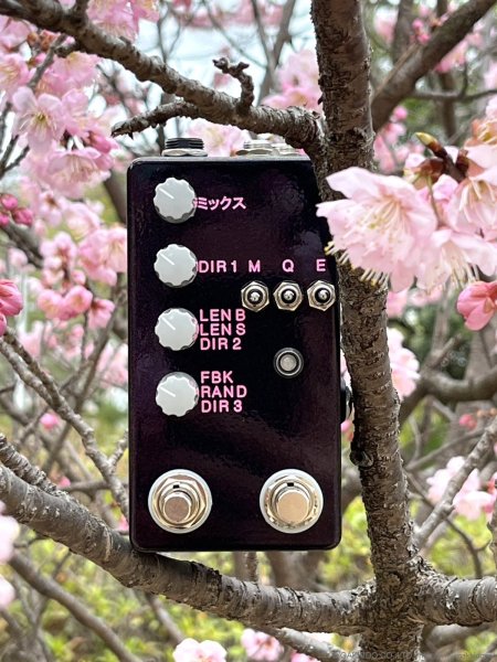 画像7: The Montreal Assembly　Count to 5 (Five) [Plum Sparkle] 直輸入品 (7)