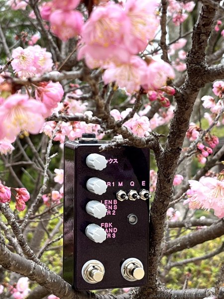 画像8: The Montreal Assembly　Count to 5 (Five) [Plum Sparkle] 直輸入品 (8)