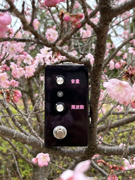 画像7: The Montreal Assembly　Your and You're [Plum Sparkle] 直輸入品 (7)