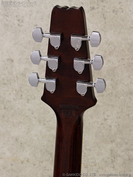 画像10: Aria Pro II　PE-JAIL 2025 ジェイル大橋 シグネチャーモデル (10)