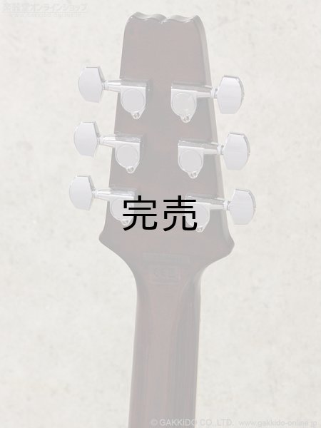 画像10: Aria Pro II　PE-JAIL 2025 ジェイル大橋 シグネチャーモデル (10)