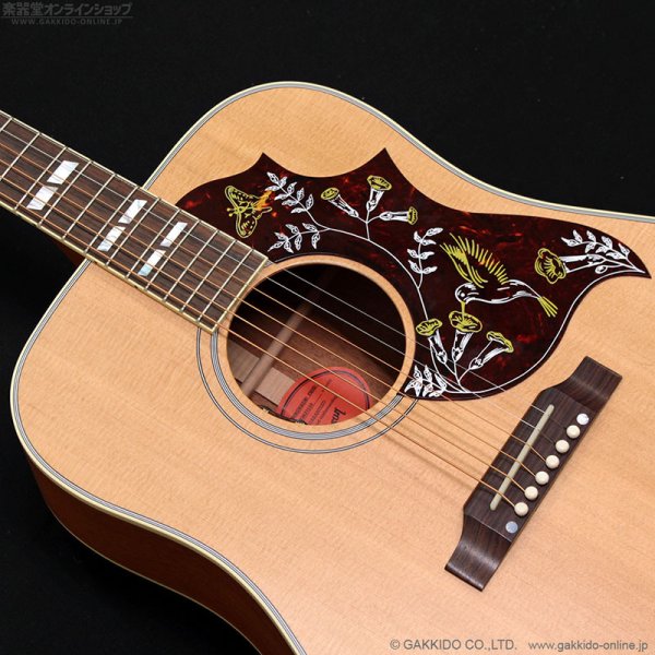画像7: Gibson　2023 Hummingbird Faded [Natural] [中古品] (7)