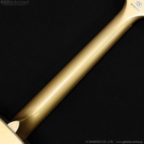 画像9: Gretsch　2018 G5021E Limited Edition Rancher Penguin Parlor [Casino Gold] [中古品] (9)