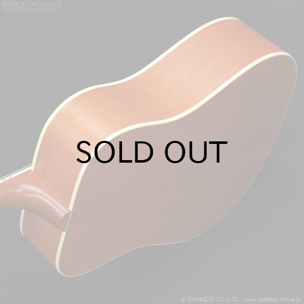 画像6: Gibson　2023 Hummingbird Faded [Natural] [中古品] (6)