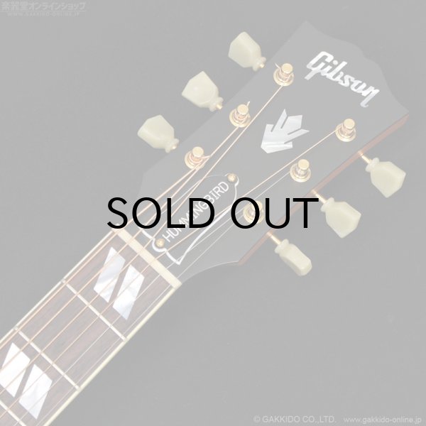 画像11: Gibson　2023 Hummingbird Faded [Natural] [中古品] (11)