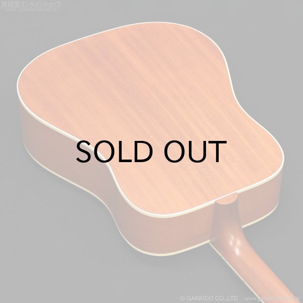 画像15: Gibson　2023 Hummingbird Faded [Natural] [中古品] (15)