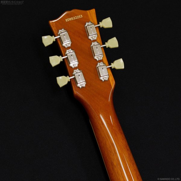 画像6: Edwards　E-LP-STD/P GO [Gold] (6)