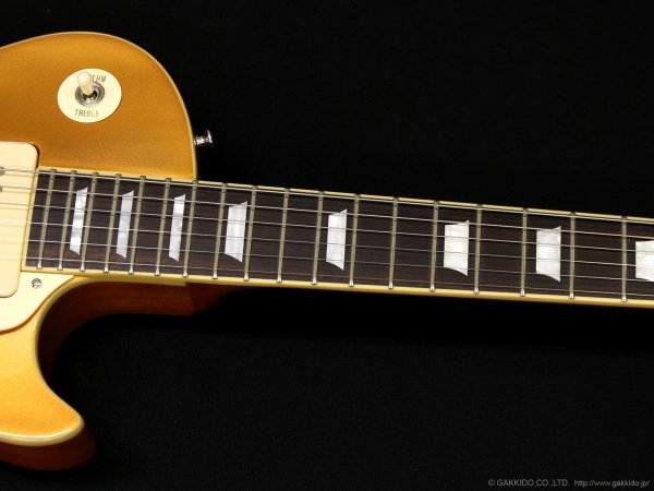 画像4: Edwards　E-LP-STD/P GO [Gold] (4)