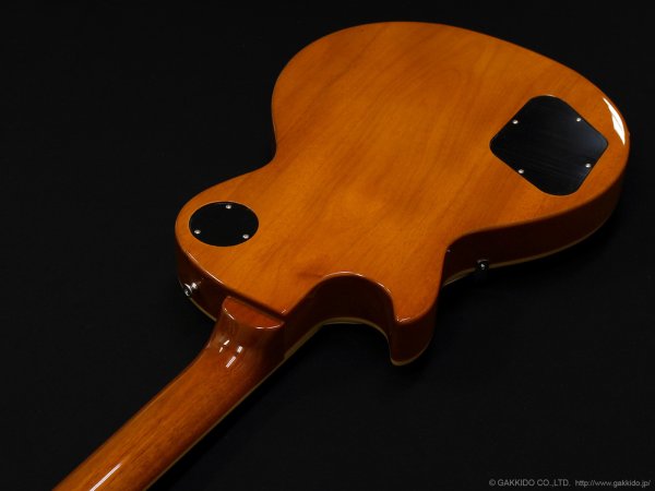 画像7: Edwards　E-LP-STD/P GO [Gold] (7)