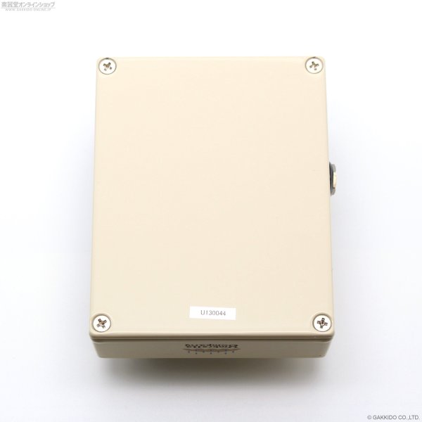 画像5: Umbrella Company　HUME (5)