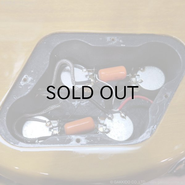 画像20: Tokai　2020 LSS230 SYW [中古品] (20)