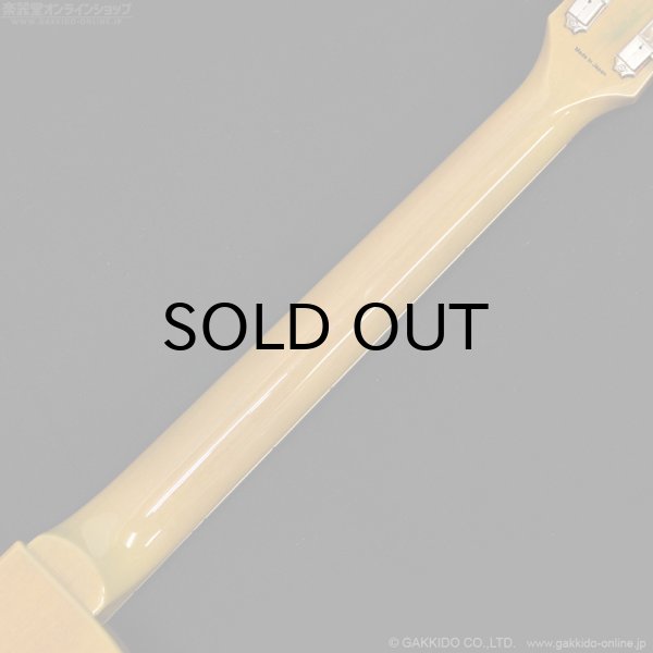 画像9: Tokai　2020 LSS230 SYW [中古品] (9)