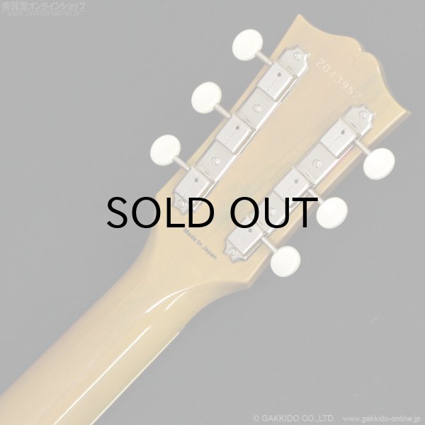 画像11: Tokai　2020 LSS230 SYW [中古品] (11)